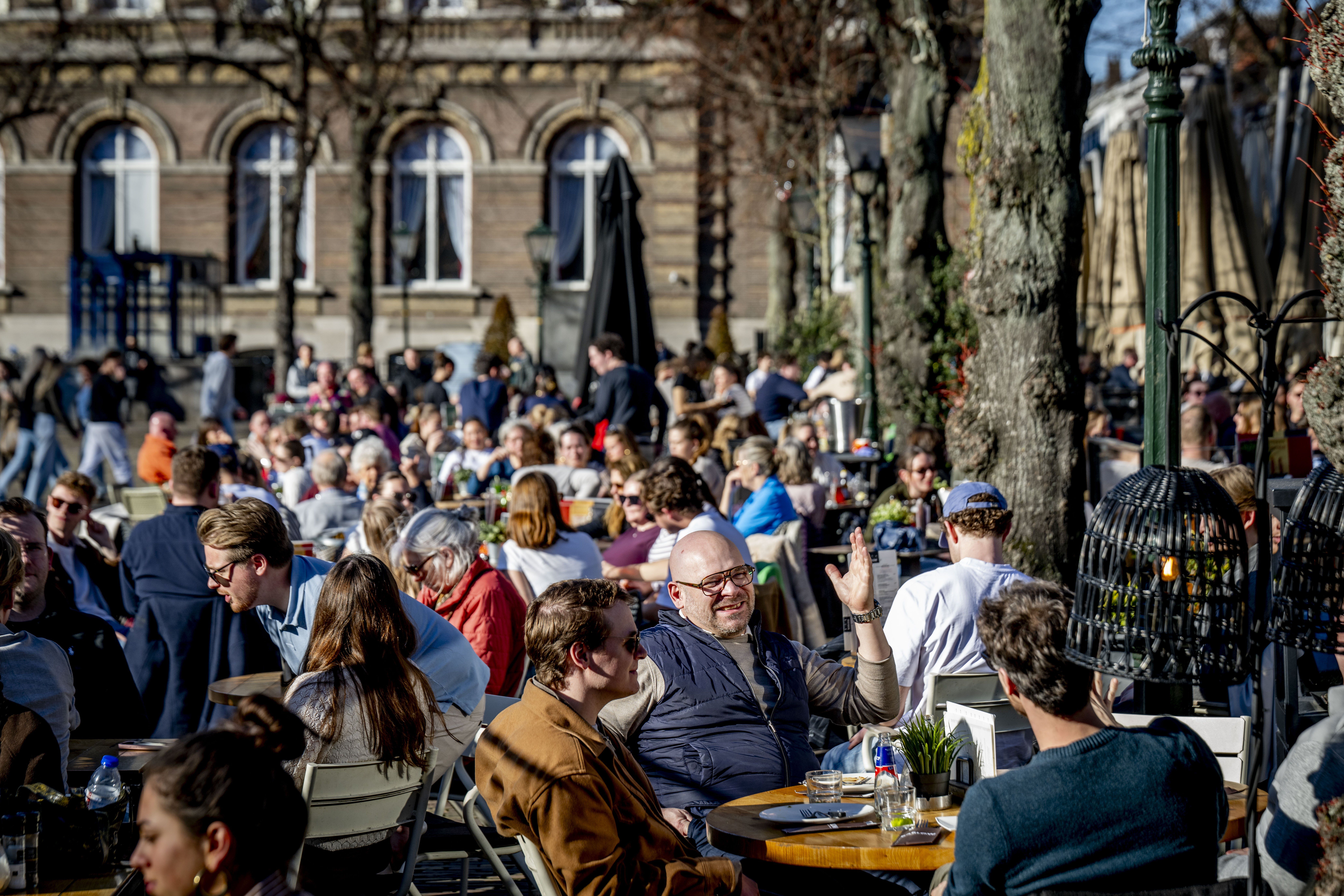 Spring Sun's Double Edge: Enjoyment Versus Hay Fever Risks